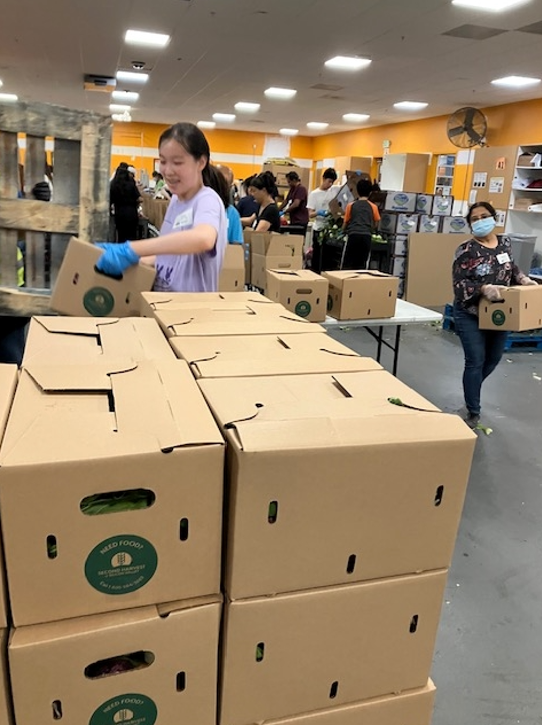 Food bank food sorting