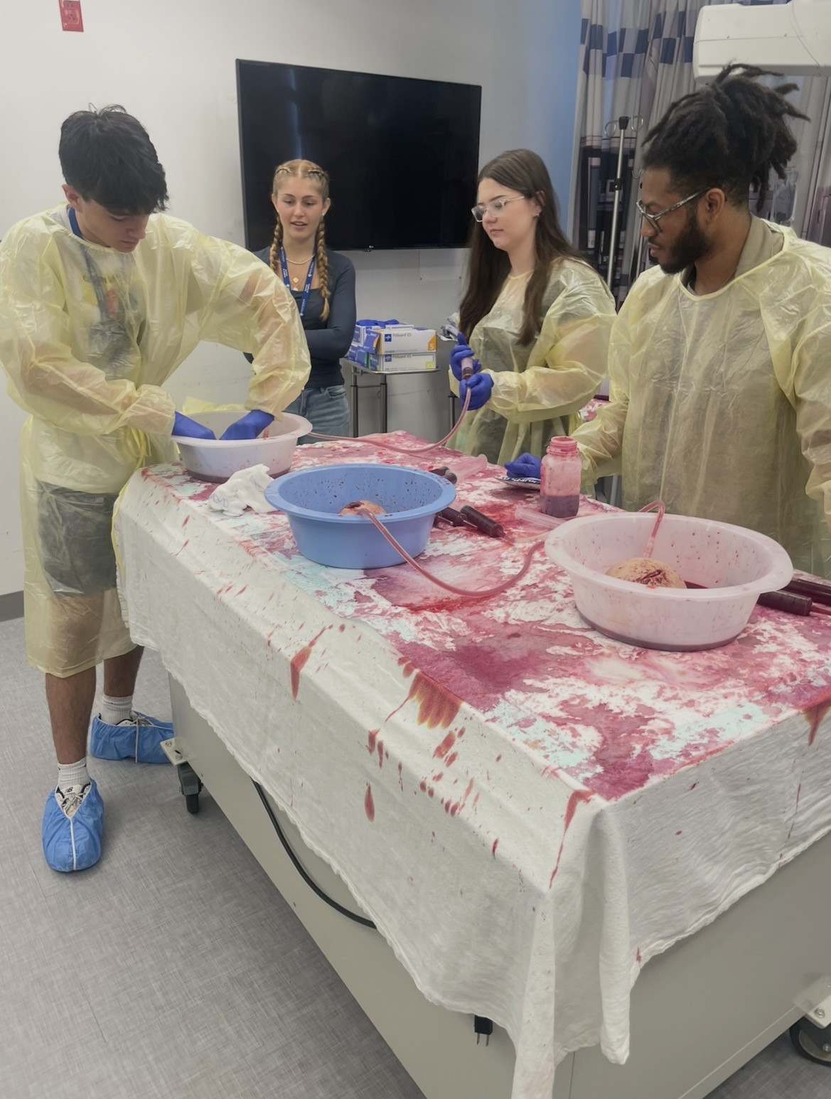 Summer program