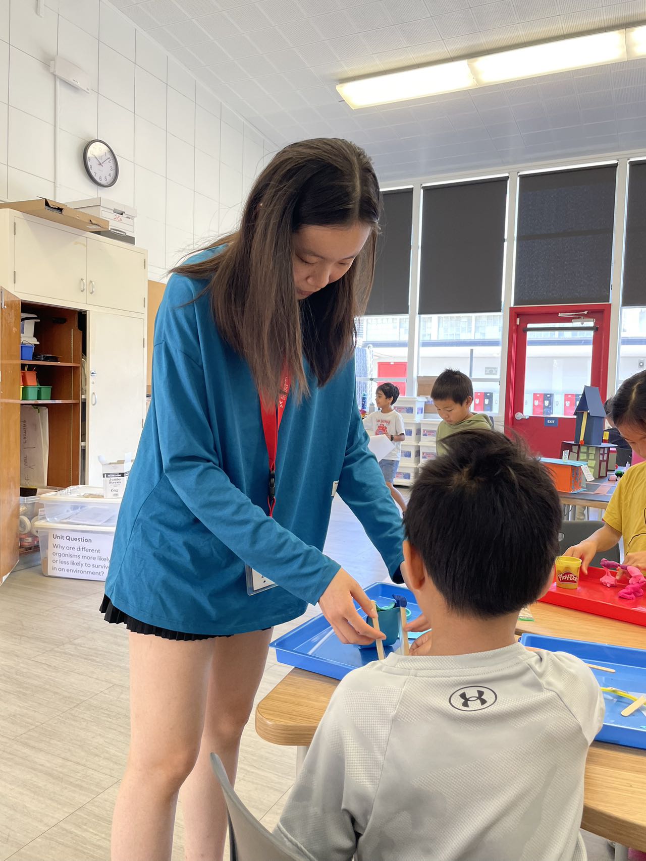 BASIS volunteer activity